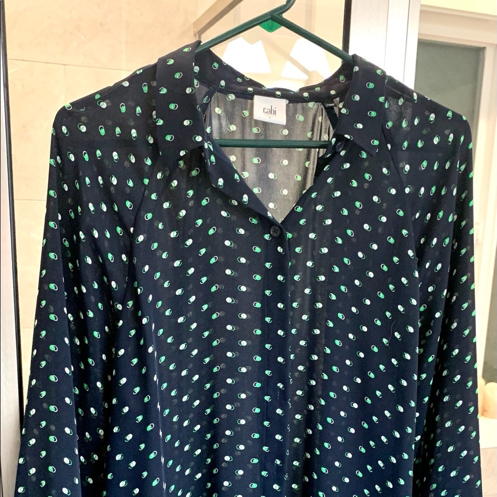 Cabi Martini sheer blouse.
